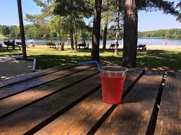 La Paillote du Grand Etang