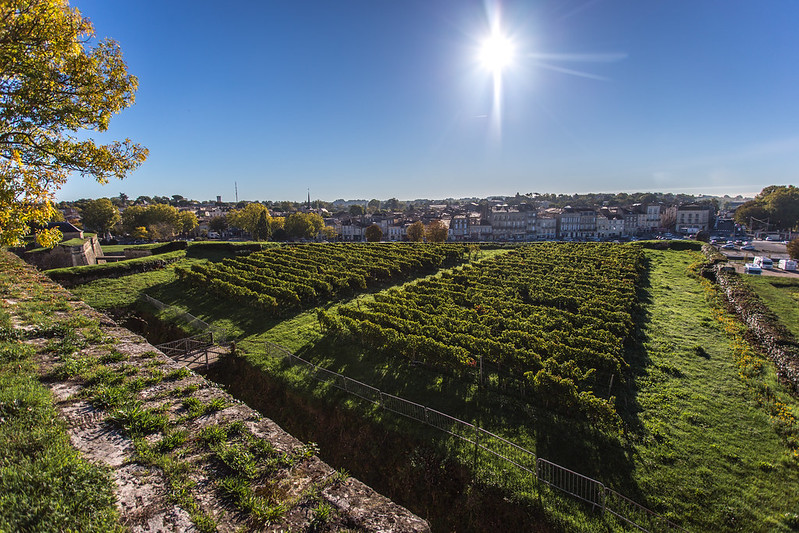 Les Vignobles à vélo - Entre vignobles et estuaire - autour de Blaye, Blaye - photo 2
