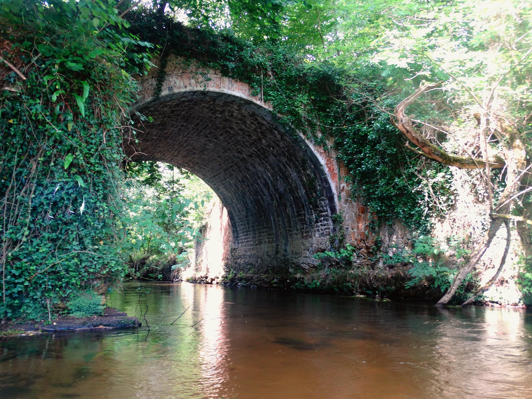 Club Canoë kayak "La Palue" - photo 4
