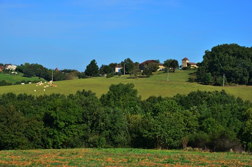 Prayssas, le circuit des pigeonniers, Prayssas