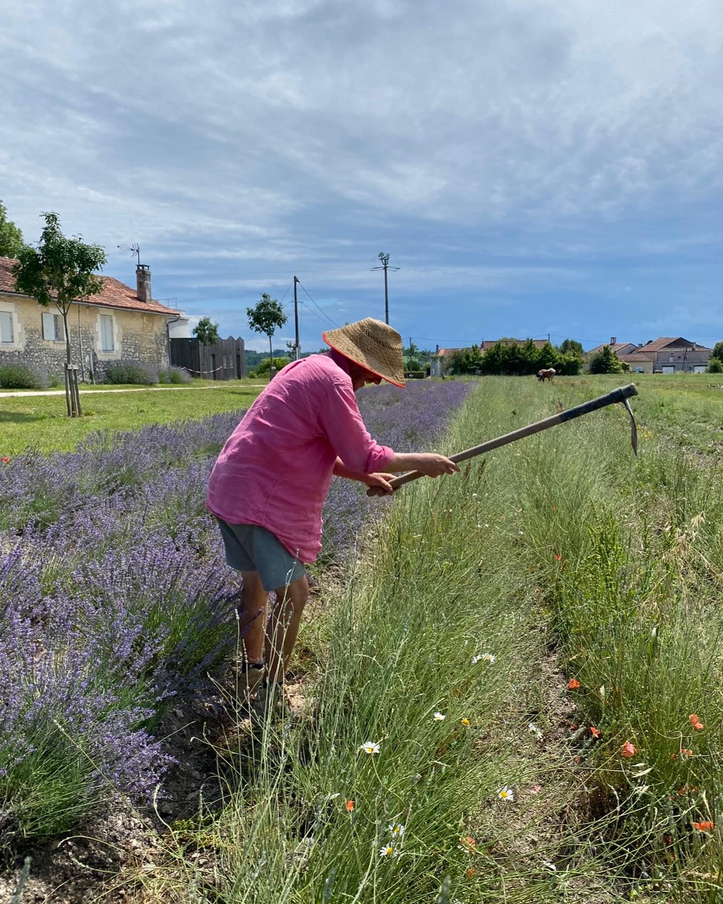 Les Trésors de Galien - photo 5