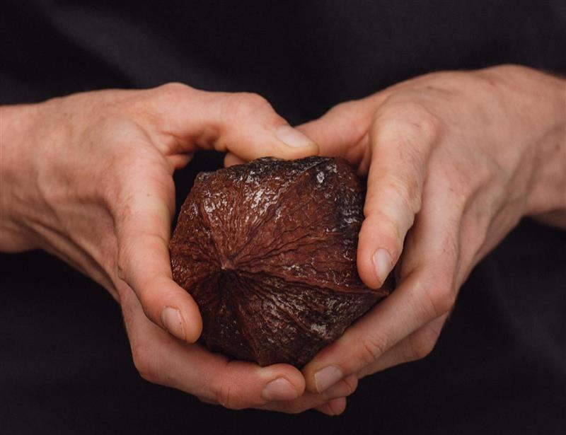 Fèves & chocolat