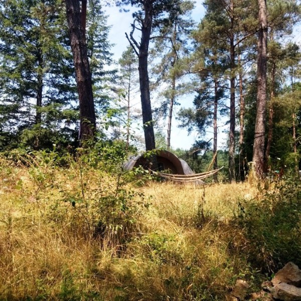 Aire Naturelle Le Moulin de Lacombe, Saint-Geniez-ô-Merle - photo 47
