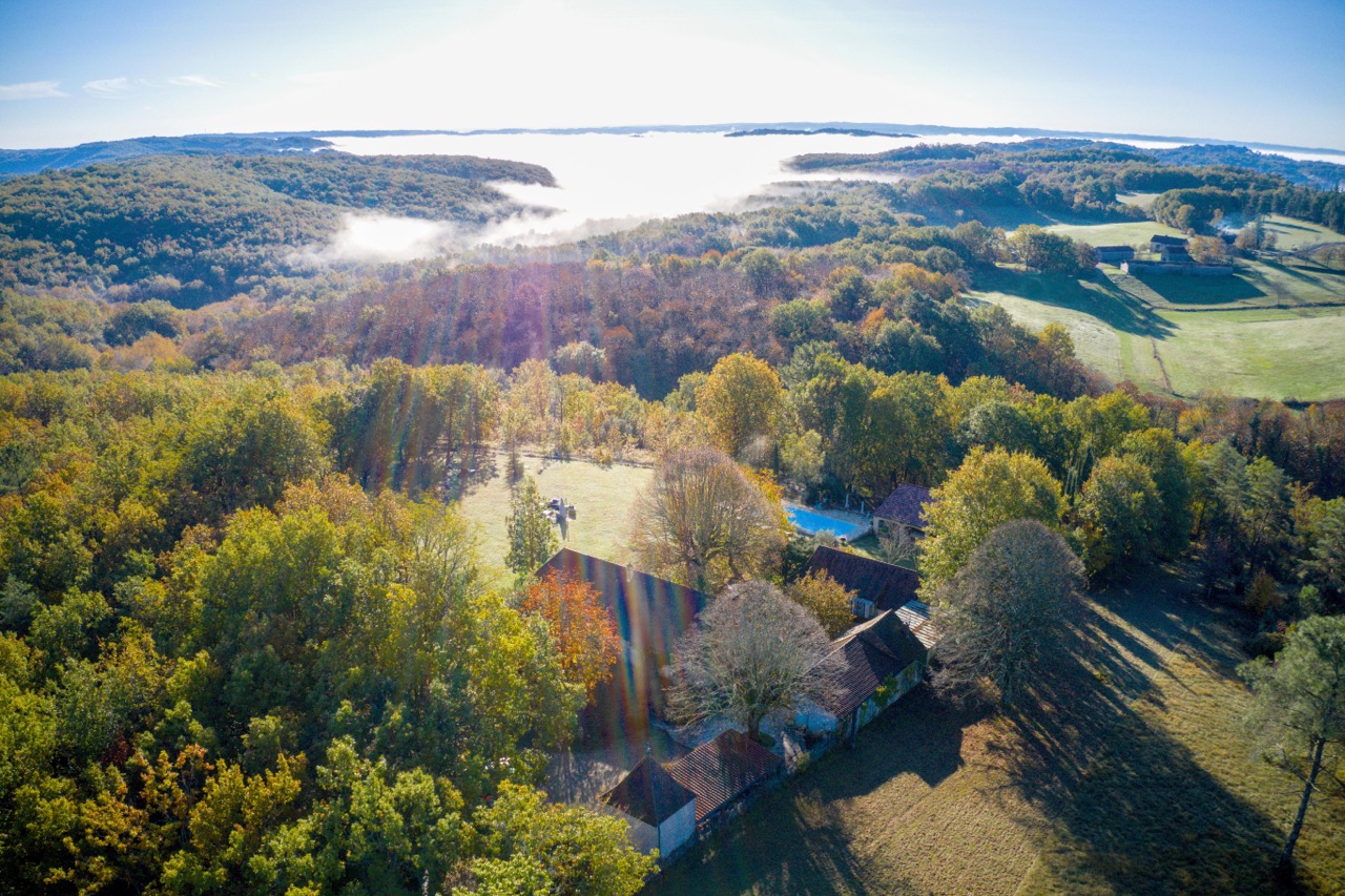 Ecrin de verdure - photo 5