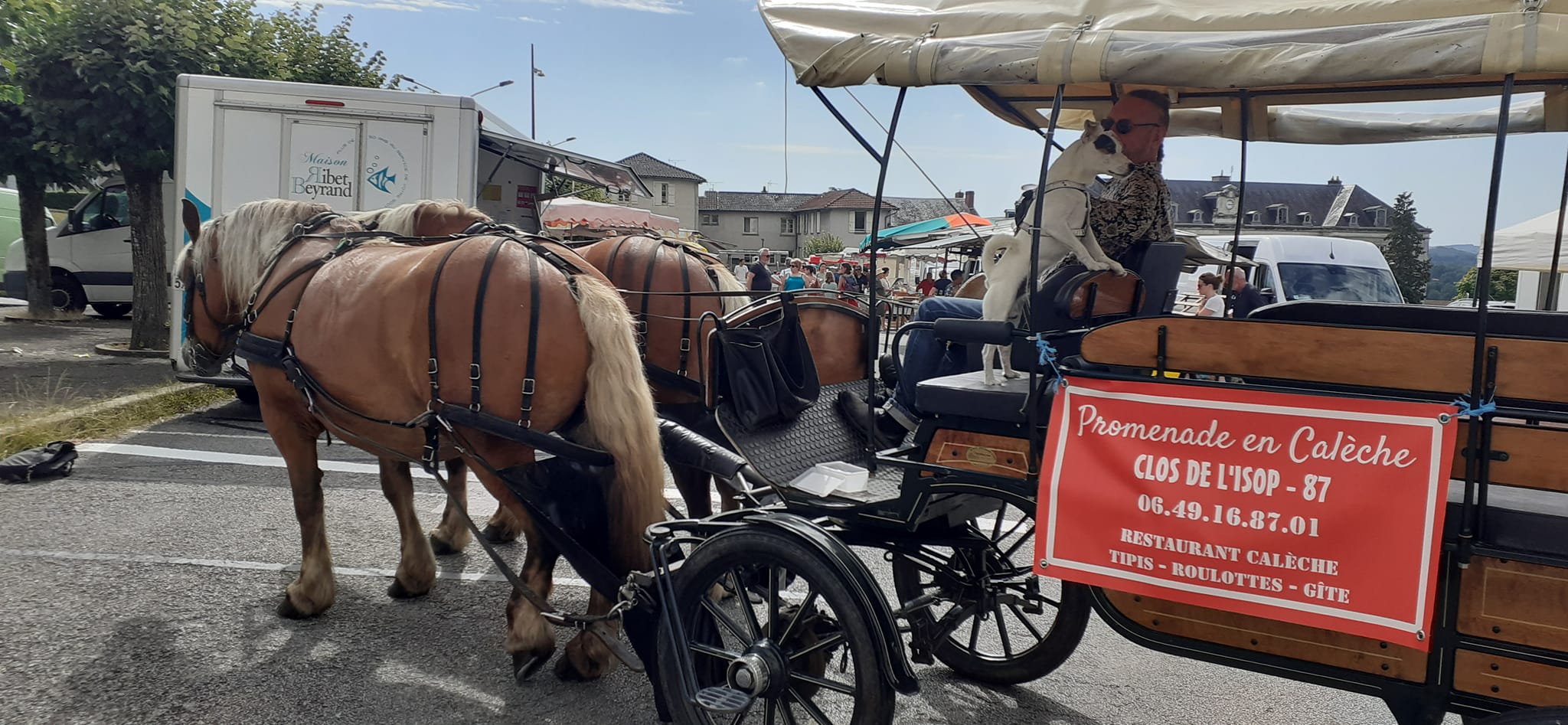 Les calèches de l'Isop - photo 5