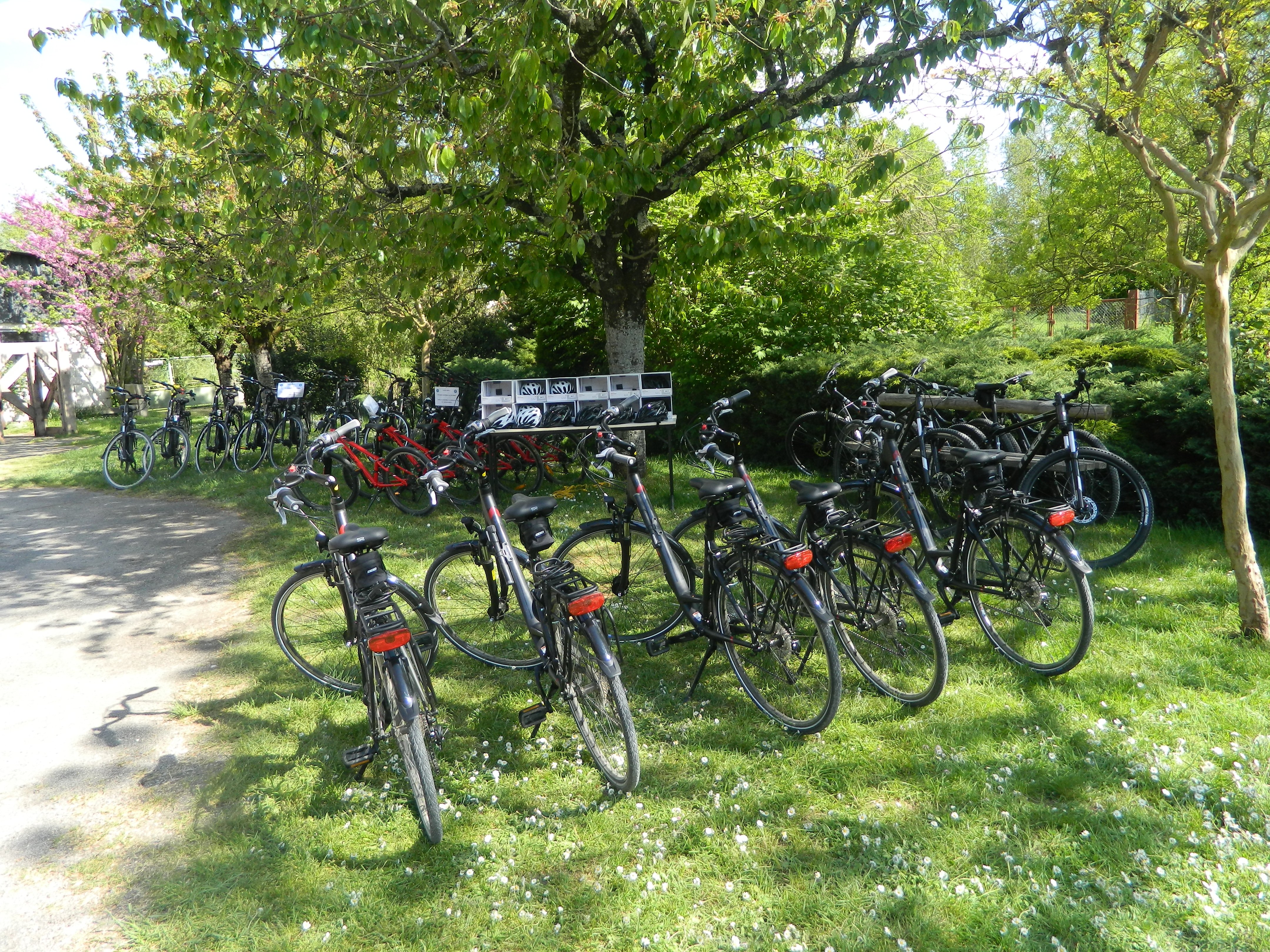 Les Vélos du Marais Poitevin — photo 3