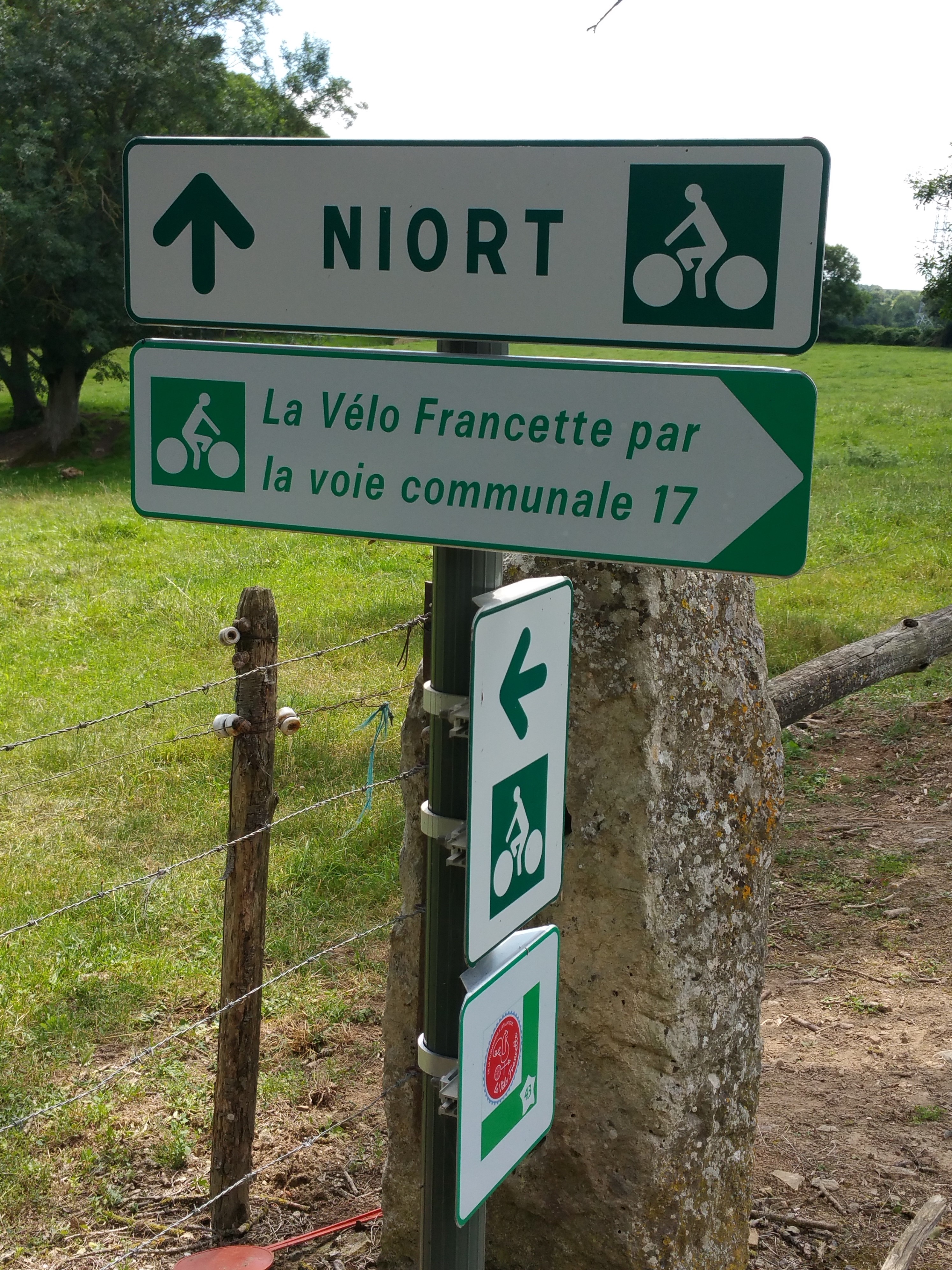 Le beau vélo de Robigo — photo 3
