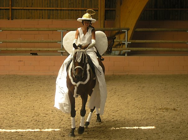 Relais Equestre Equinoxe - photo 5