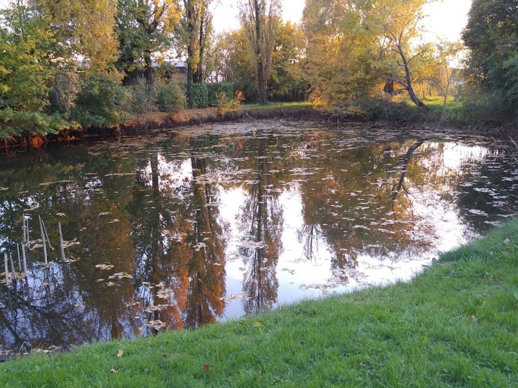 Les Guyonnières, Mauléon - photo 15
