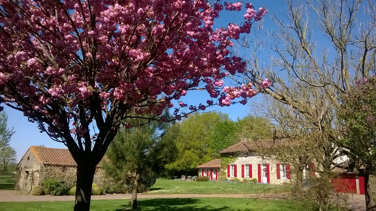 Les Guyonnières, Mauléon