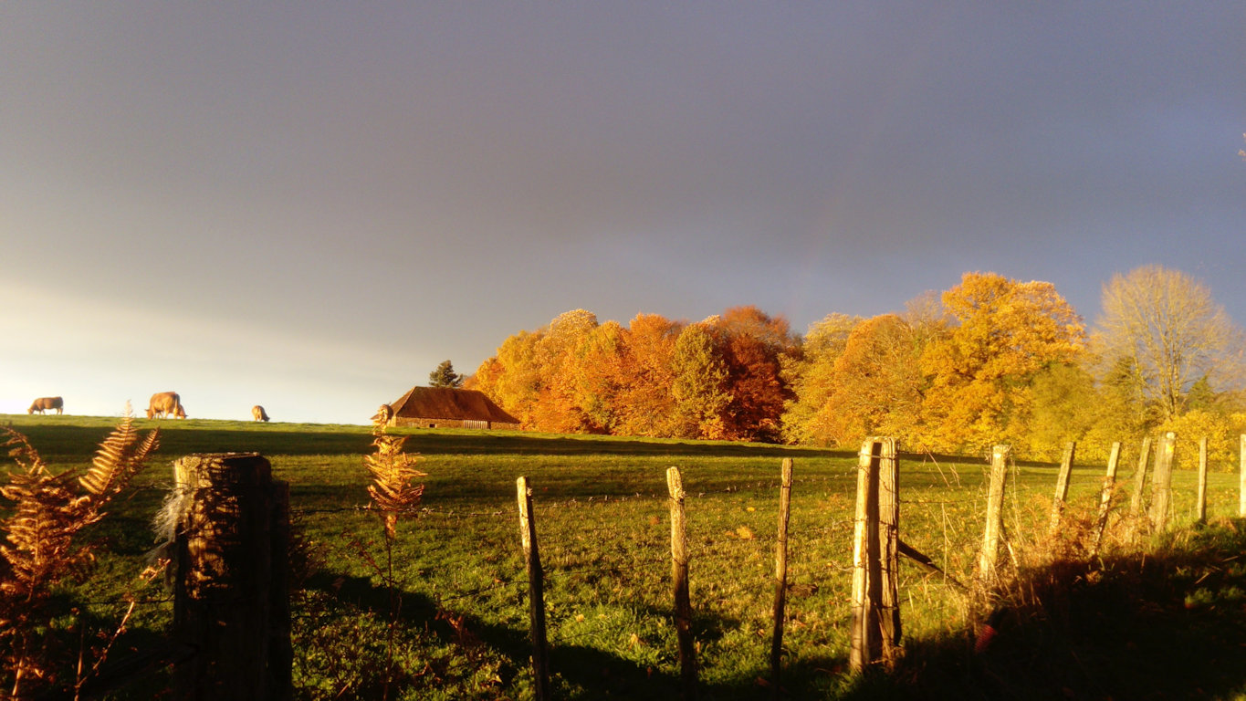 Chambre d'hôte du Mas, Saint-Vitte-sur-Briance - photo 8