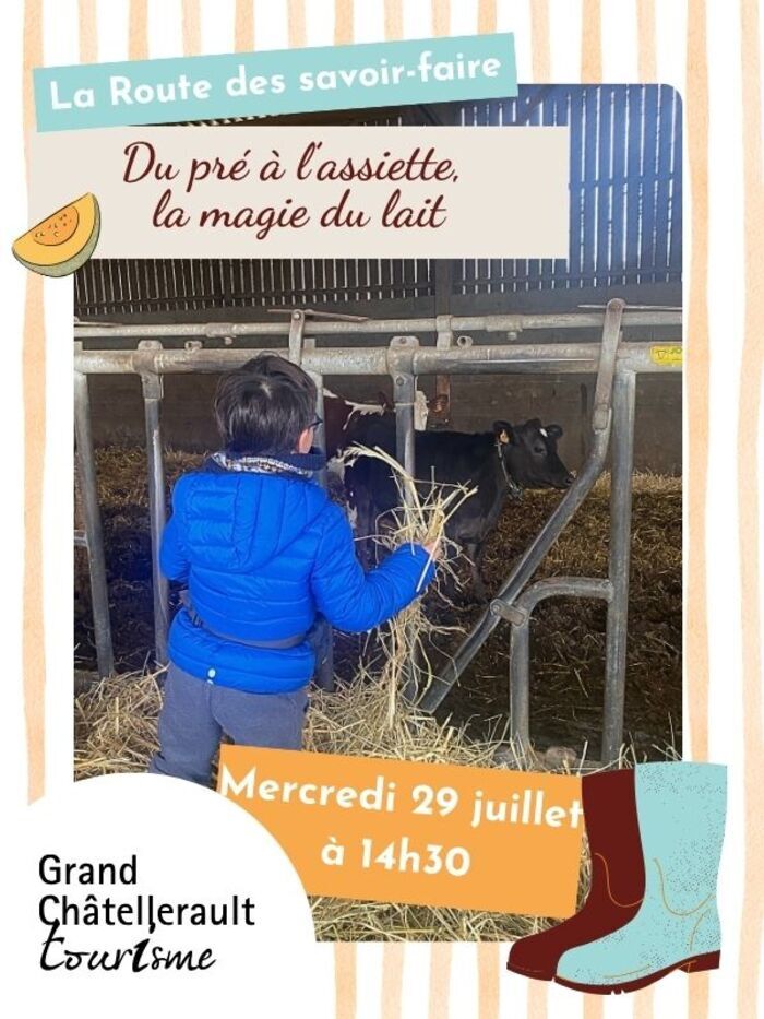 Du pré à l'assiette, la magie du lait