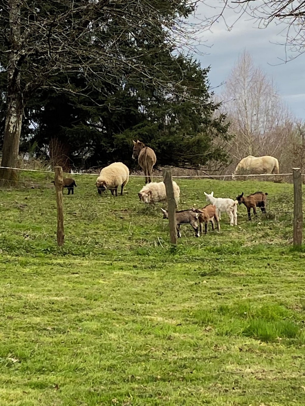 Domaine de Domingeal - photo 3