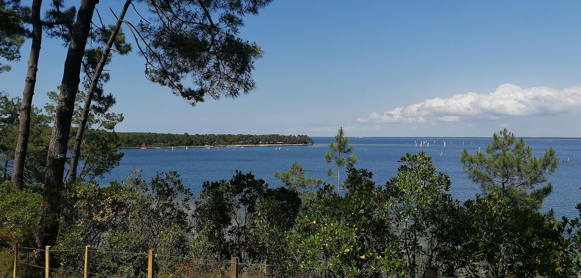 Paysage de rivages, Carcans - photo 7