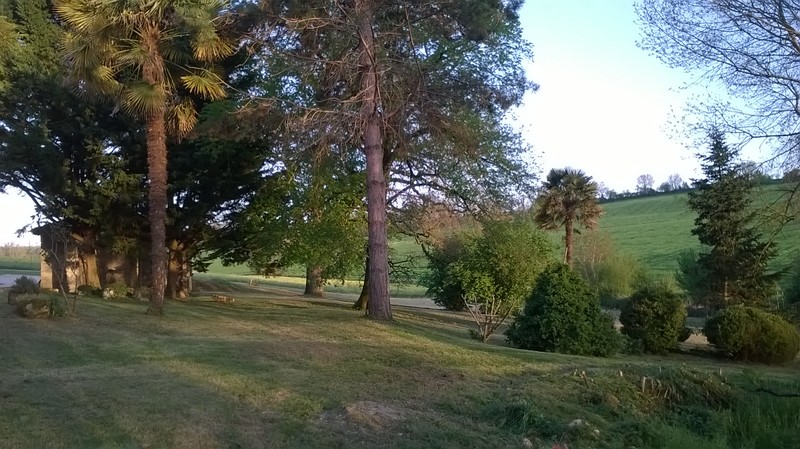 Le Logis du Pradet, Moncrabeau - photo 14