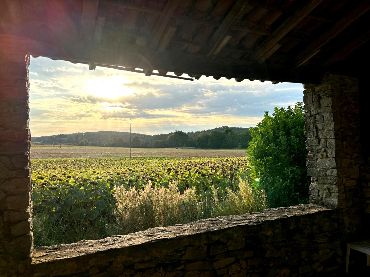 Gîte Pont d'Agasse, Lévignac-de-Guyenne - photo 8