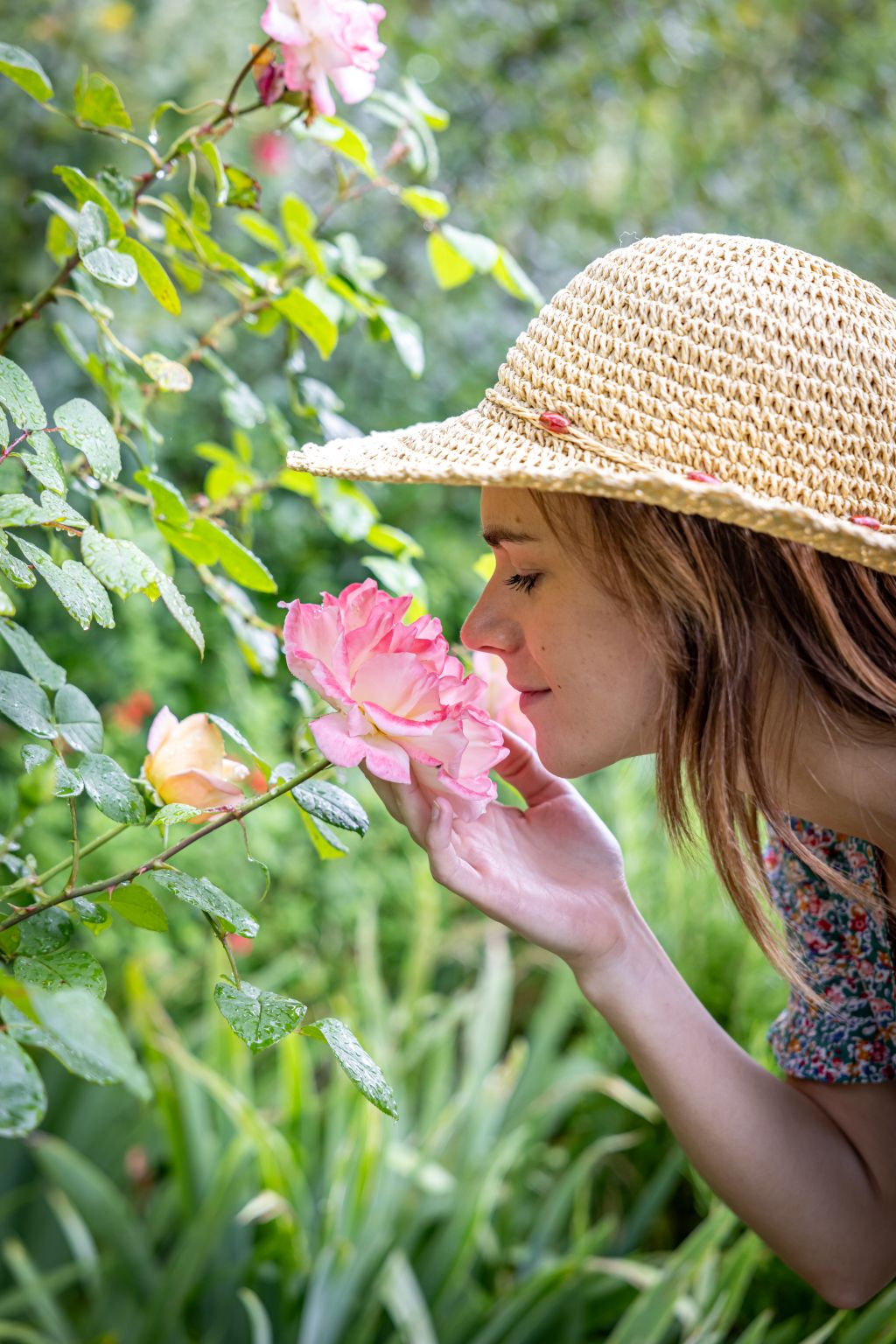 Les Jardins de Sardy, Vélines - photo 3