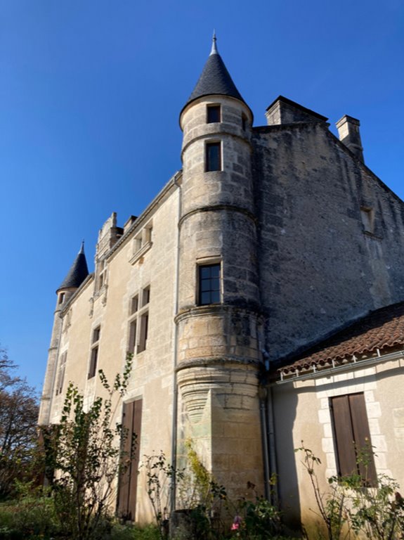 Atelier Self Care, Gua Sha & Auto-Massage - Châteaux en fête - photo 4