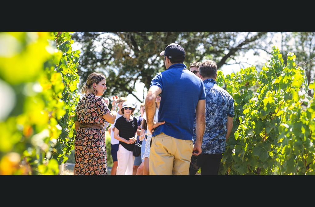 Domaine de Grange Neuve