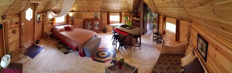 Graines de Nature - Le kota à l'ombre d'Yggdrasil - photo 3