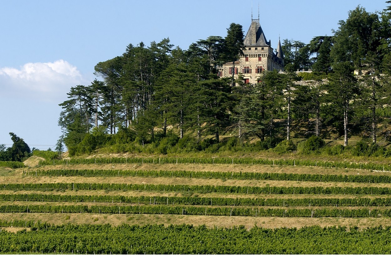 4) Château domine les terrasses de vignes