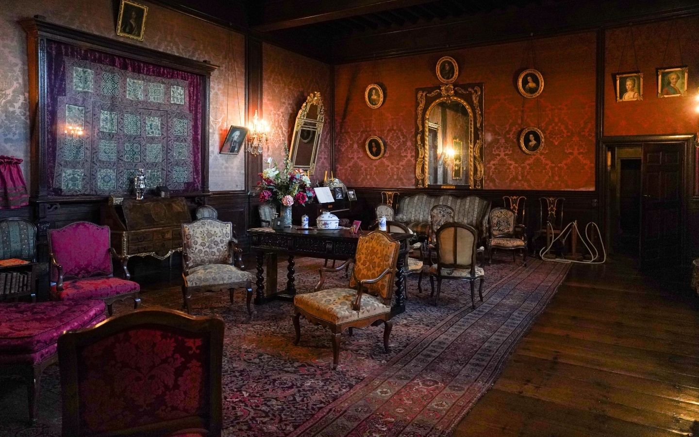 Château d'Andurain de Maytie, Mauléon-Licharre - photo 8
