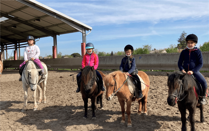Le Ptit Ranch 