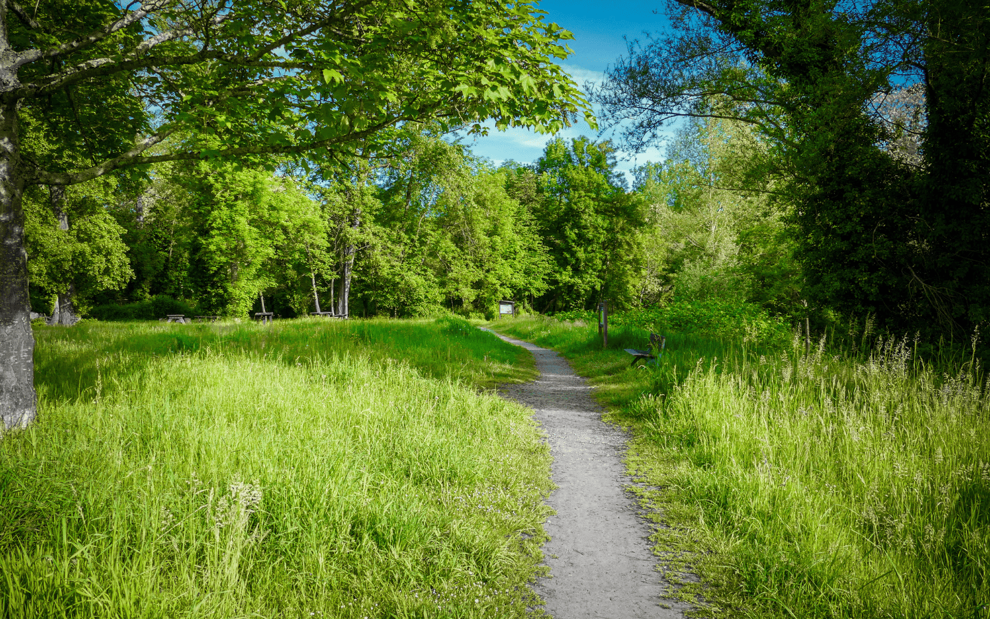 La Saligue - photo 3