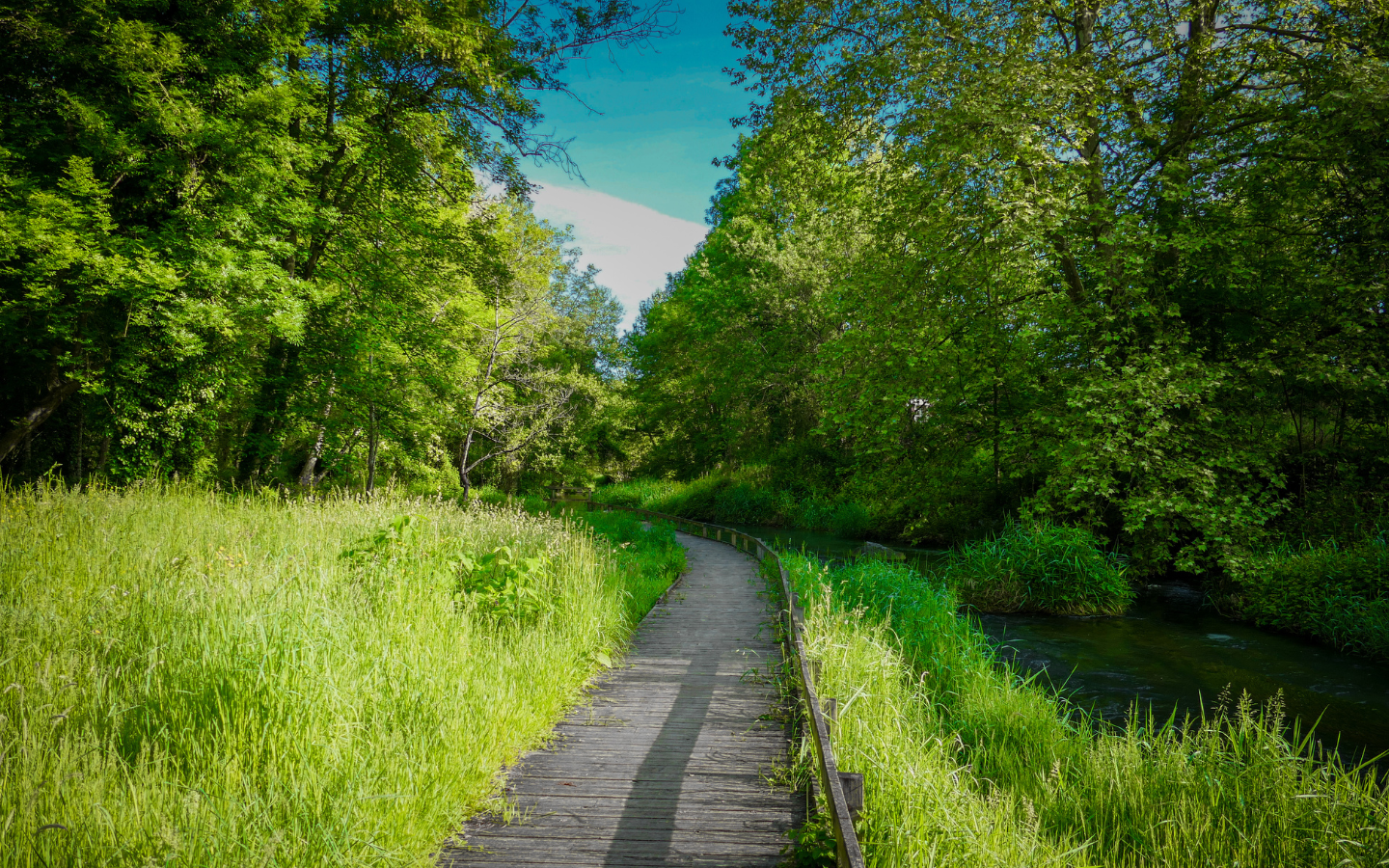 Circuit vélo 2 : boucle de la plaine du Gave et du Lagoin, Nay