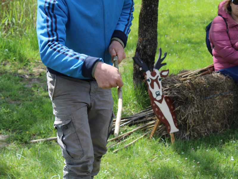 Petits Aventuriers à Terres d'Oiseaux, Braud-et-Saint-Louis - photo 5