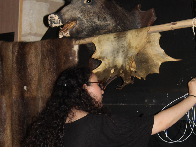 Grand jeu d'Halloween à Terres d'oiseaux, Braud-et-Saint-Louis - photo 5