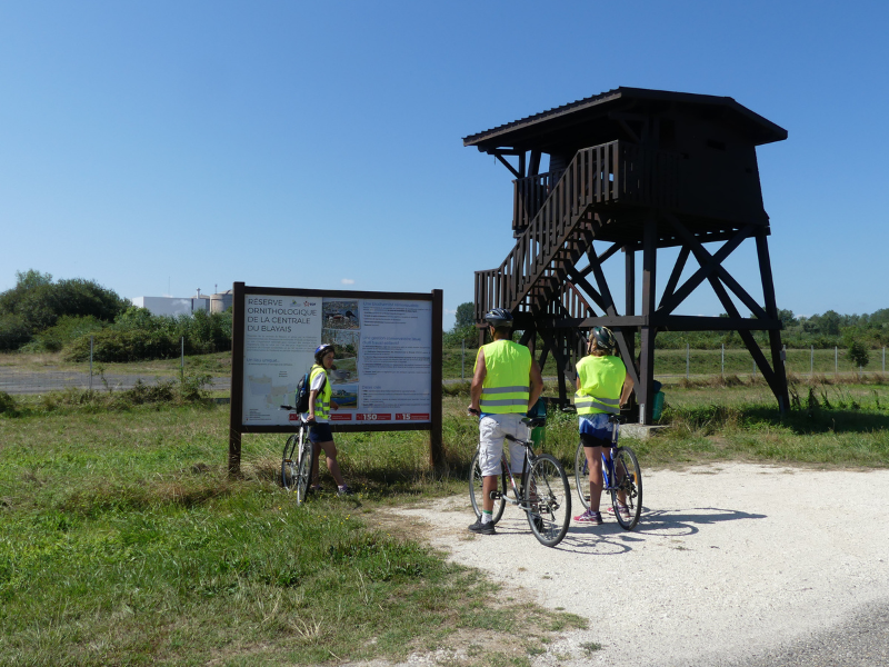 Vendredi vélo à Terres d'Oiseaux, Braud-et-Saint-Louis - photo 4