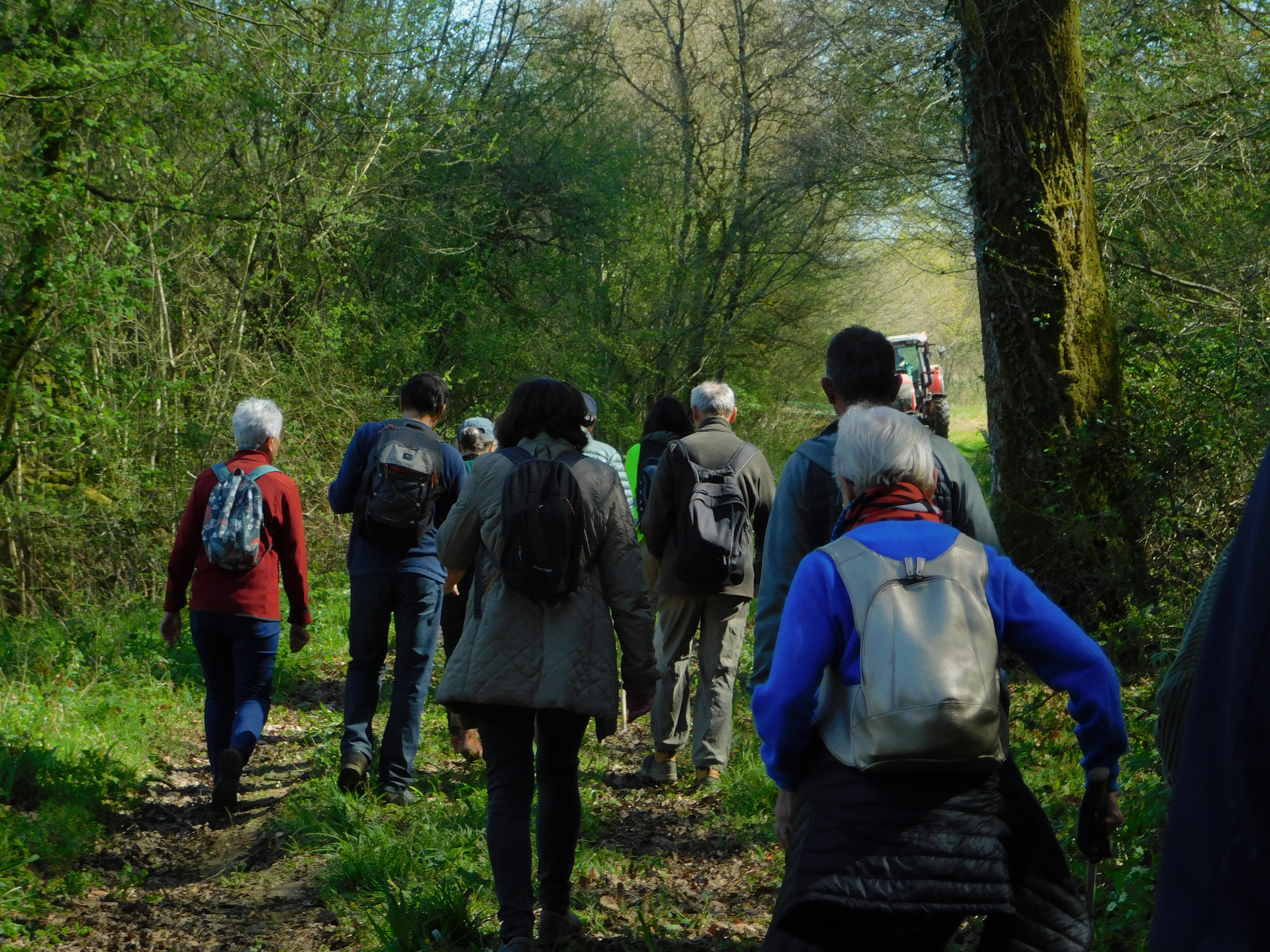 Visite du site archéologique en accès rapide, Brassempouy