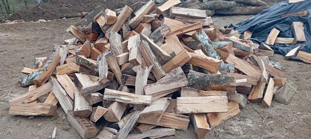 Jardin et bois