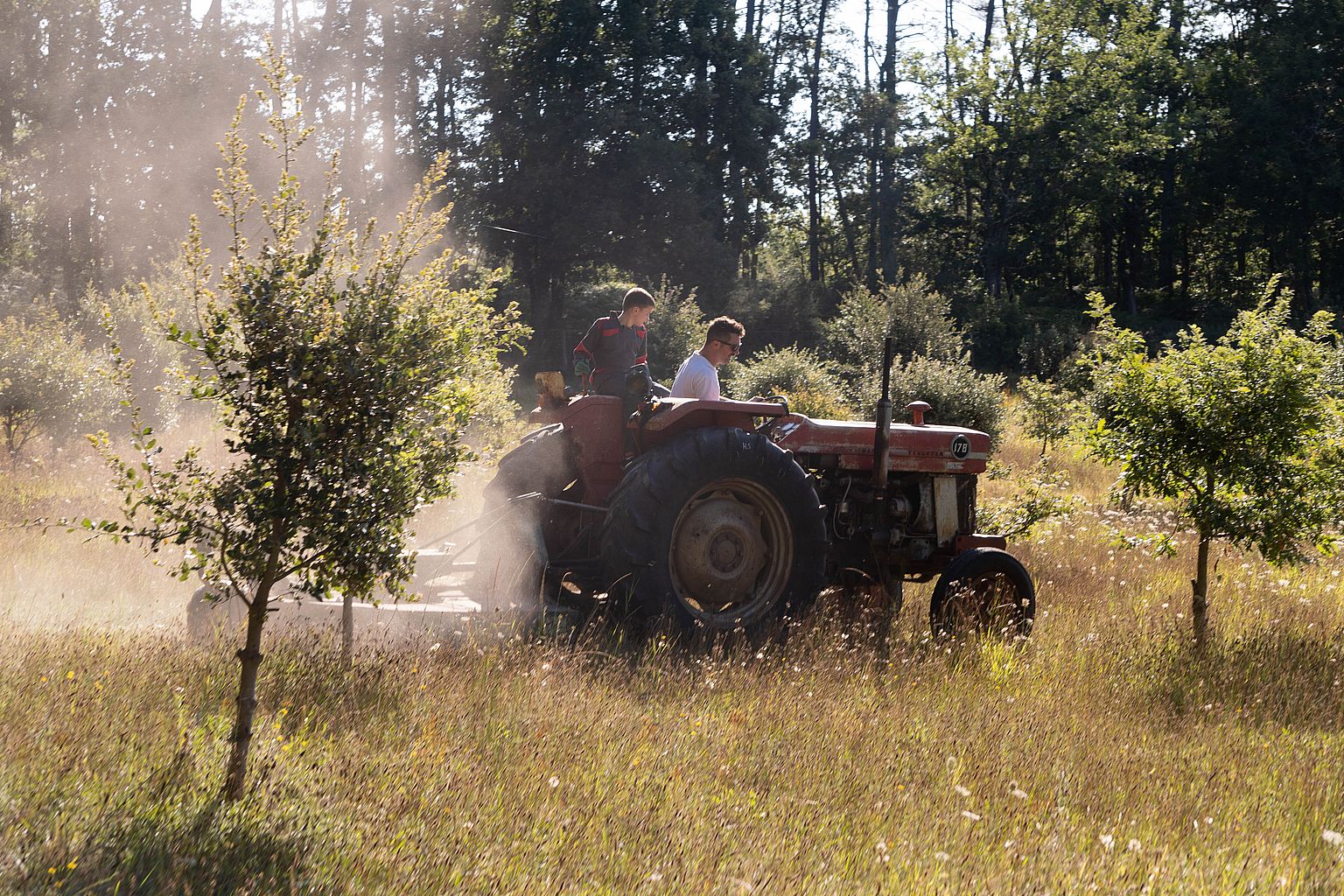 Aubertie Truffe - photo 3
