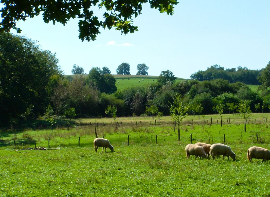Camping à la ferme de la Noyeraie - photo 5