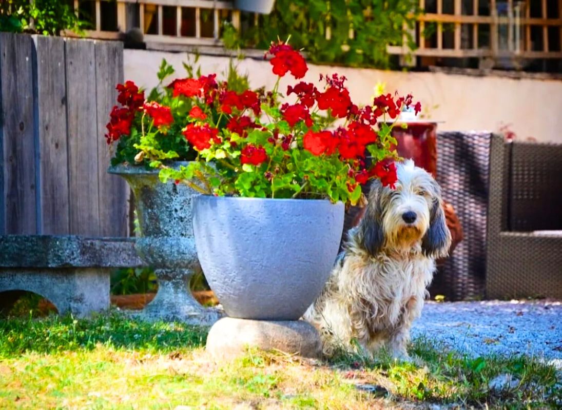 Camping Canin - La Soupèze - photo 4