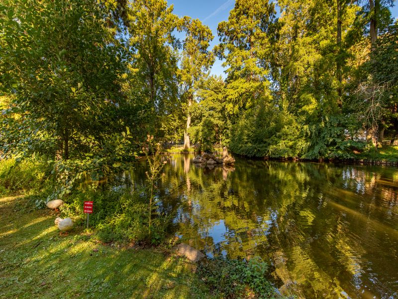 Parc de l'Epinette, Libourne - photo 2