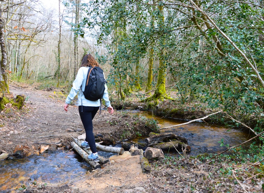 Circuit du dolmen de la Goupillère, Les Cars
