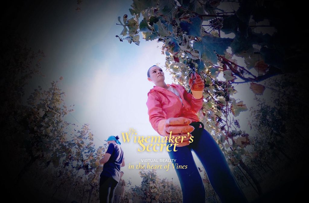 Le Secret des Vignerons - photo 3