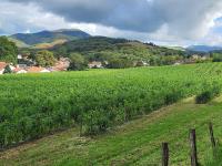 Atelier découverte du piment Cambo-les-Bains Pays basque