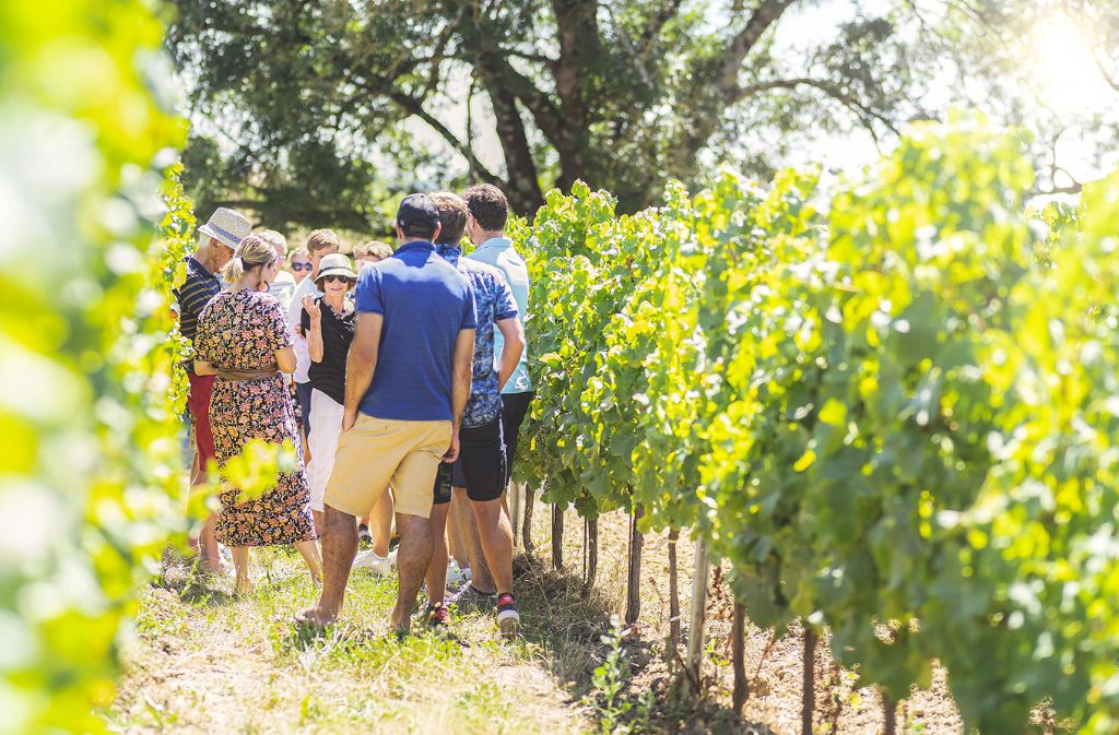 Guided tour & local produces | Domaine de Grange Neuve, Pomport - photo 5