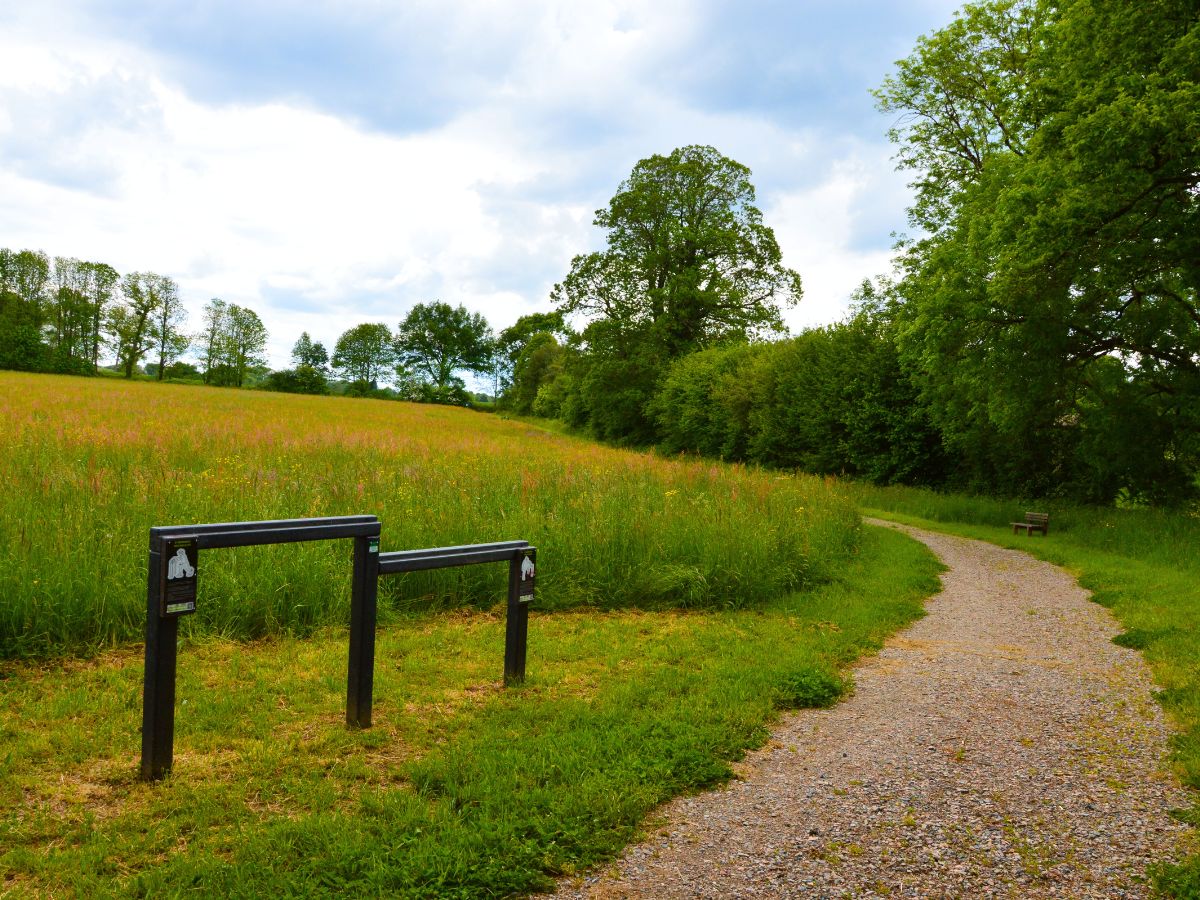 Parcours de santé - photo 3