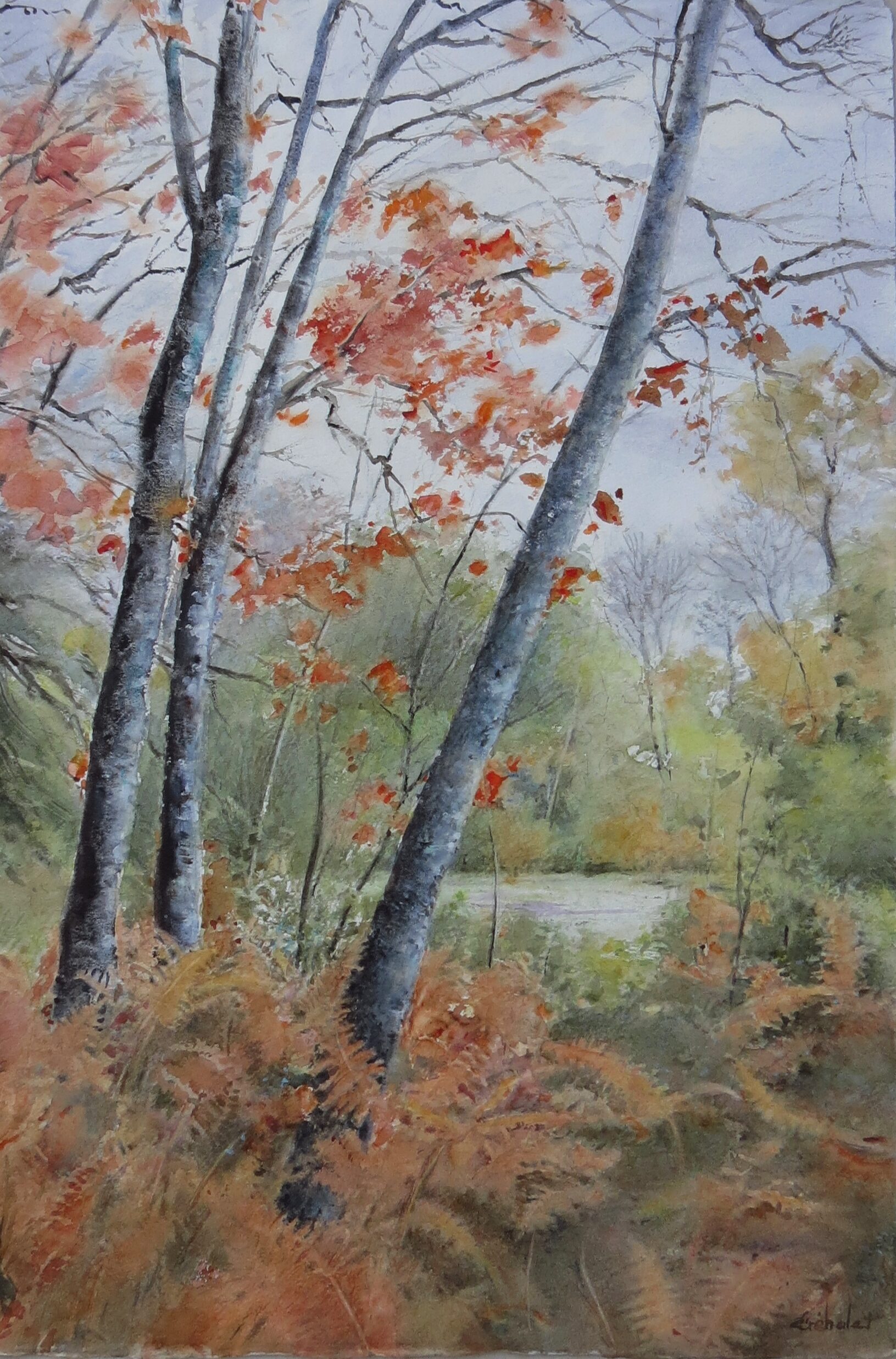 21ème Salon International de l'Aquarelle de Saint-Yrieix-La-Perche — visuel événement