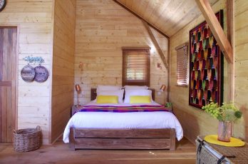 Cabane Mésange, Auriac-du-Périgord - photo 3