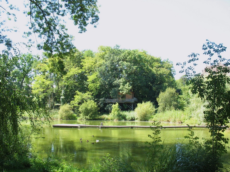 Château Gauthié : Cabane Gite dans les arbres au bord du lac, Monmarvès - photo 10
