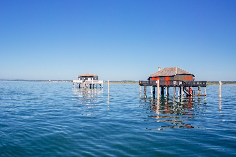 Vedettes/Catamarans UBA — photo 2