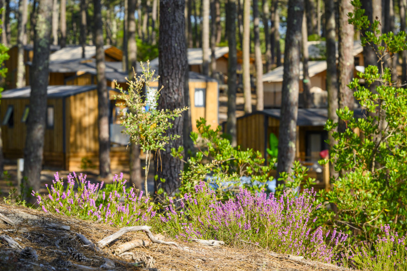Wellness Sport Camping Dune Bleue, Carcans - photo 12