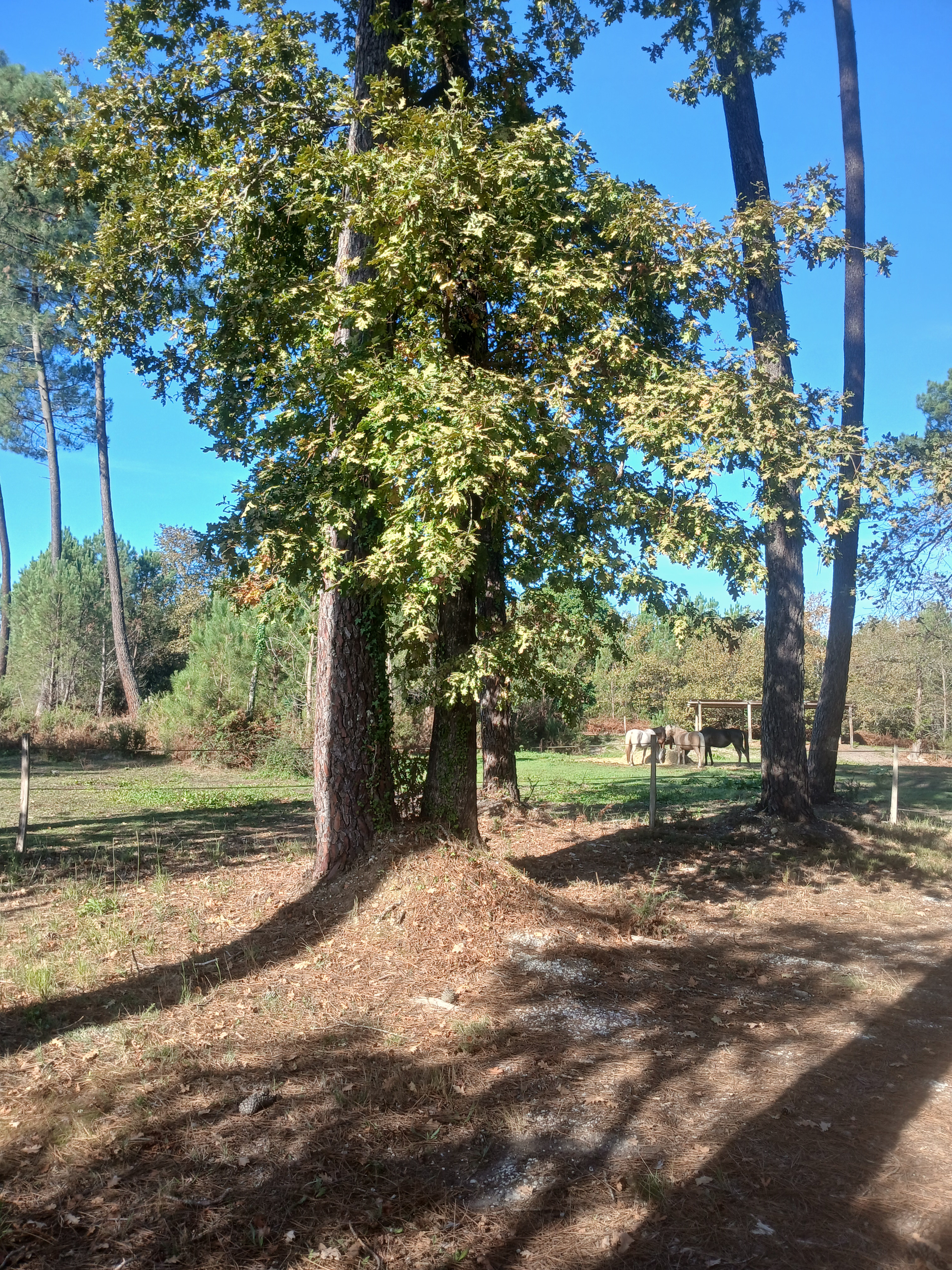 Boucle de Cabanac - photo 4