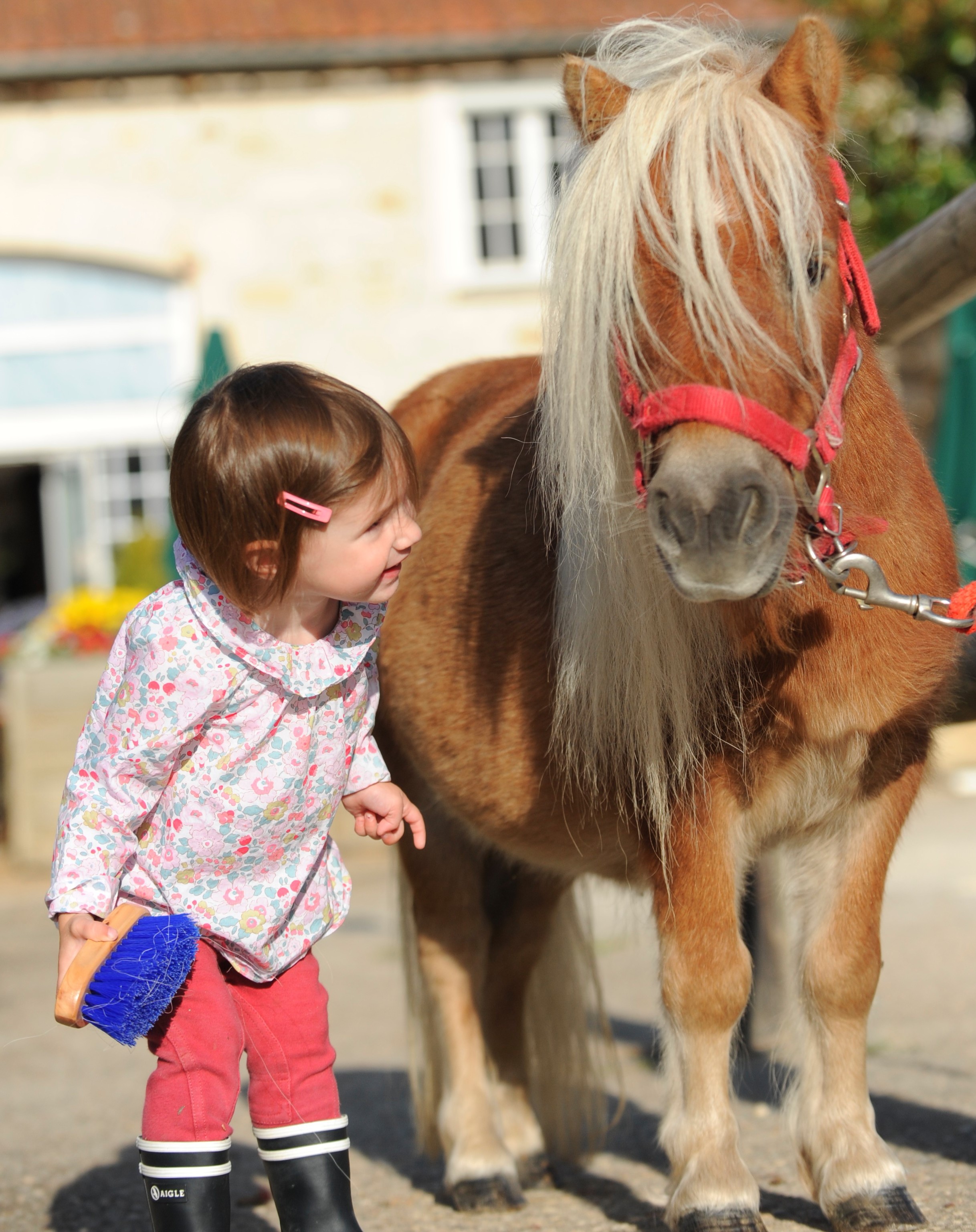 Club Hippique et Poney-Club de la Forêt de Moulière